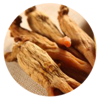 Asian Red Ginseng root extract in VigRX Plus daily supplement