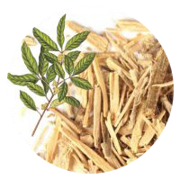 Muira Puama bark extract used in VigRX Plus male enhancement formula